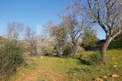 Terreno para Venda em Boliqueime