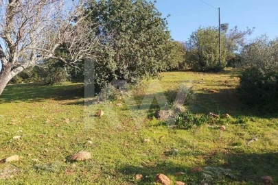 Terreno para Venda em Boliqueime