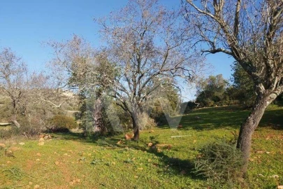 Terreno para Venda em Boliqueime