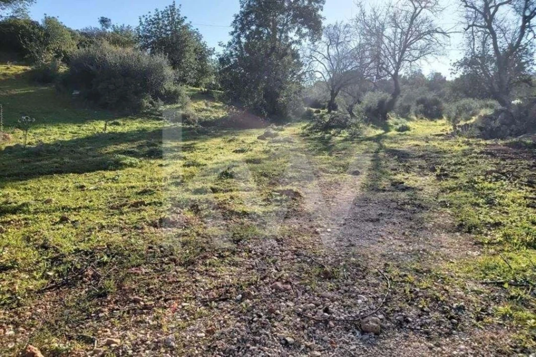 Terreno para Venda em Boliqueime Foto 13