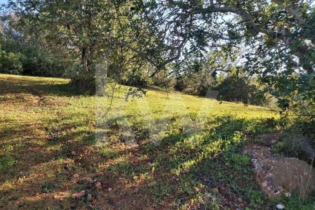 Terreno para Venda em Boliqueime Foto 1