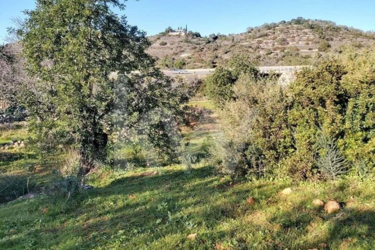 Terreno para Venda em Boliqueime Foto 12