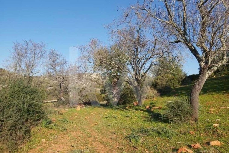 Terreno para Venda em Boliqueime Foto 7