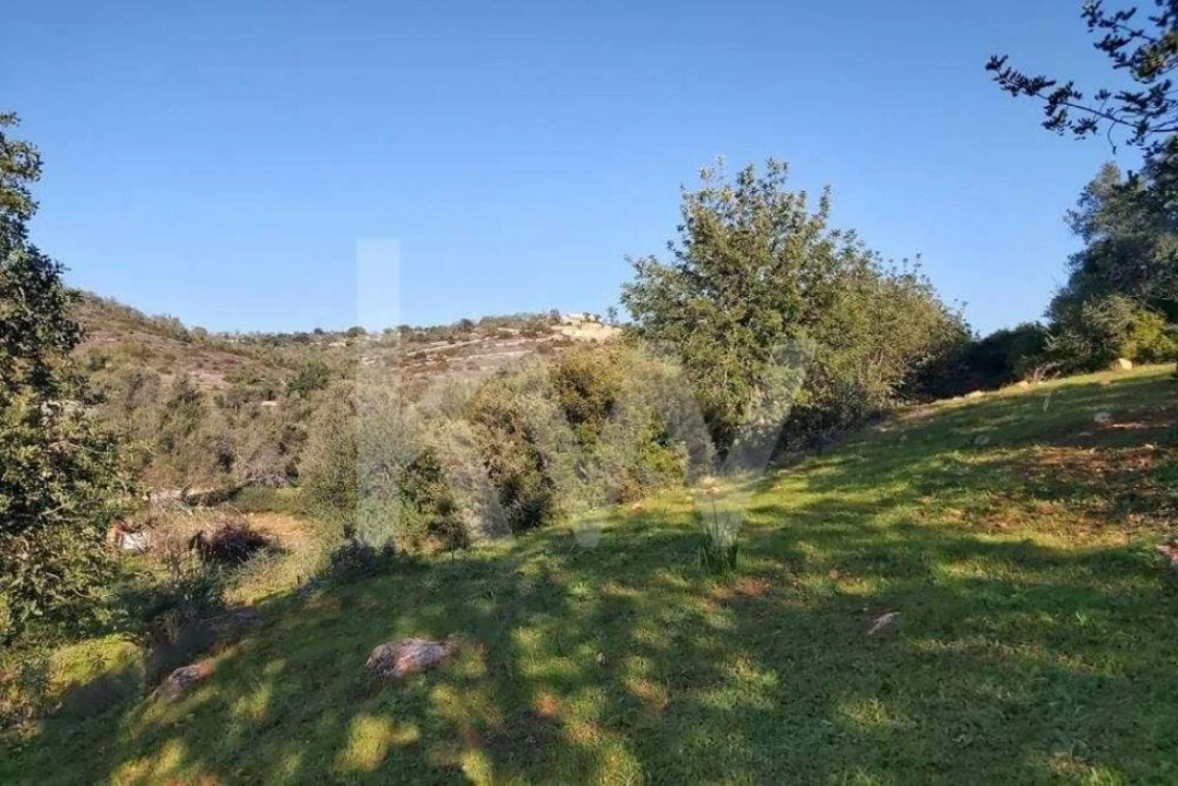 Terreno para Venda em Boliqueime Foto 9