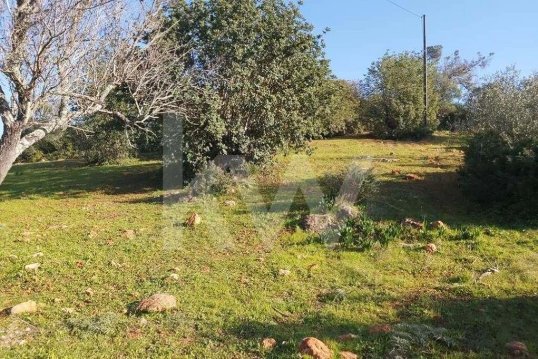 Terreno para Venda em Boliqueime Foto 4