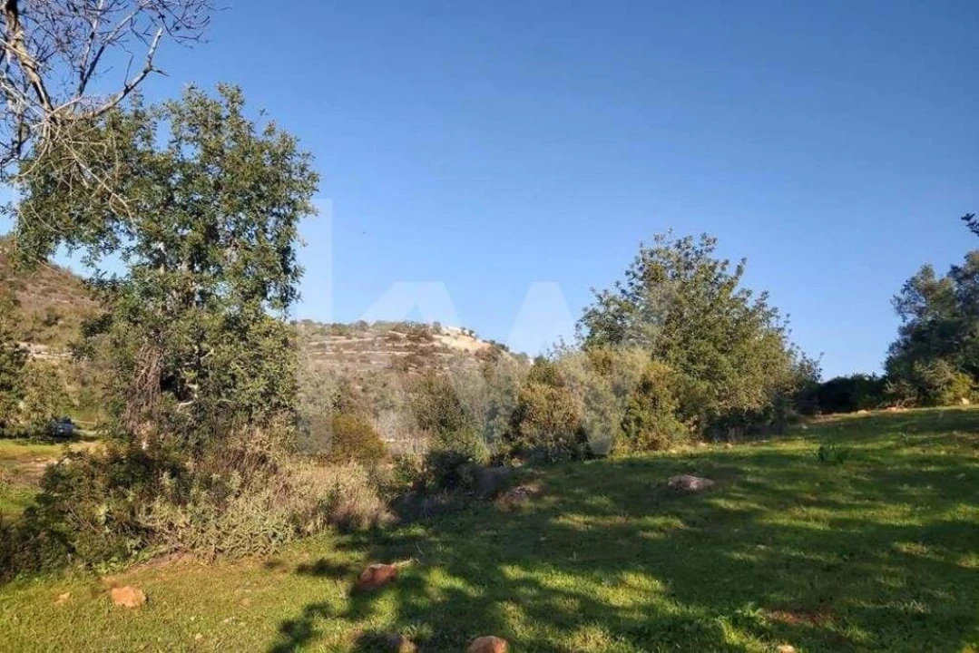 Terreno para Venda em Boliqueime Foto 5