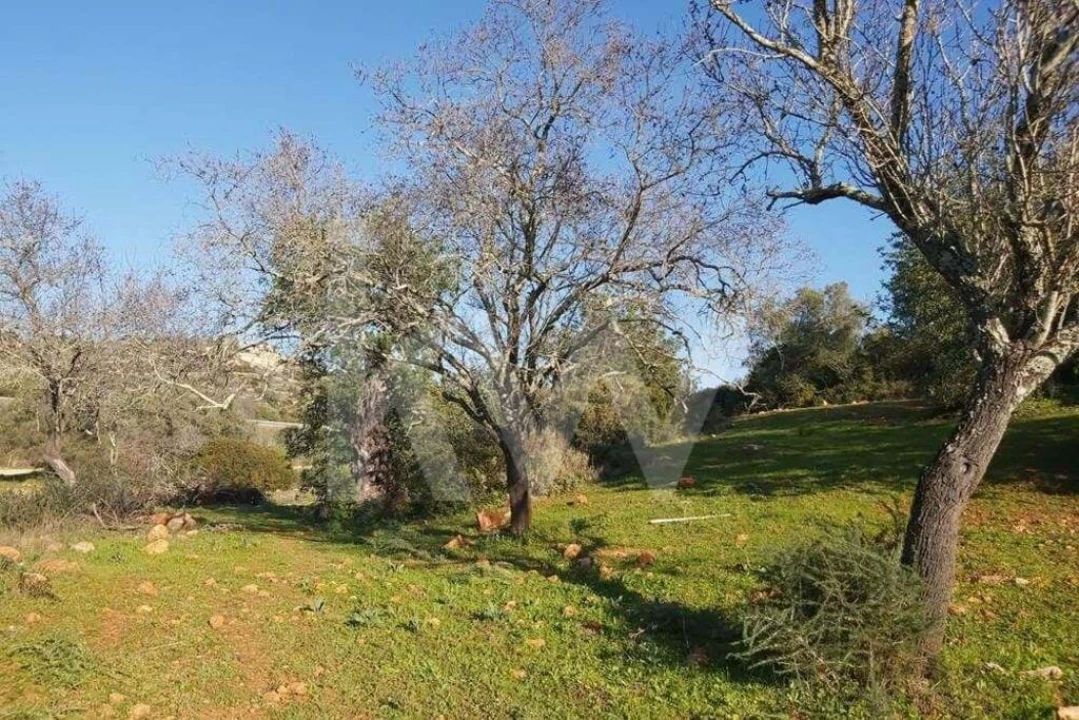 Terreno para Venda em Boliqueime Foto 2