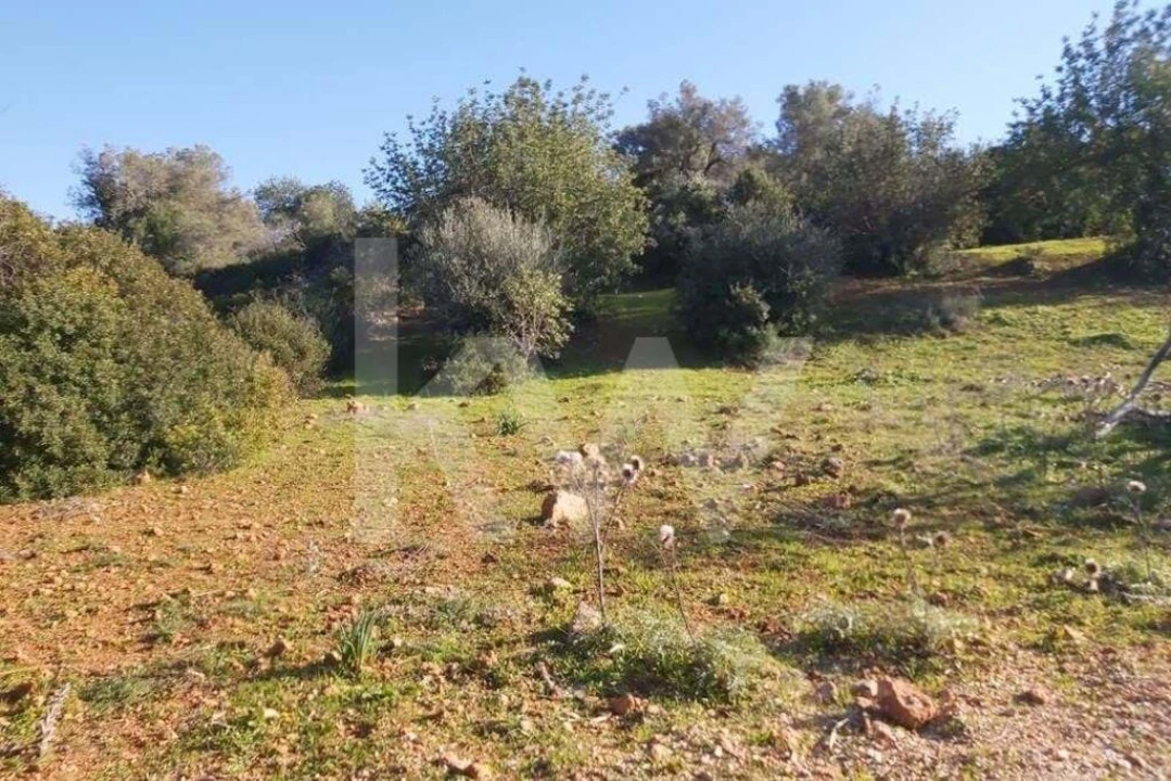 Terreno para Venda em Boliqueime Foto 3