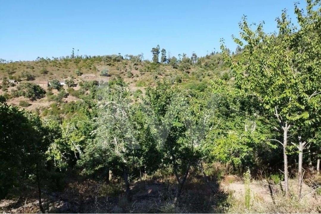 Quinta T2 para Venda em Monchique Foto 25