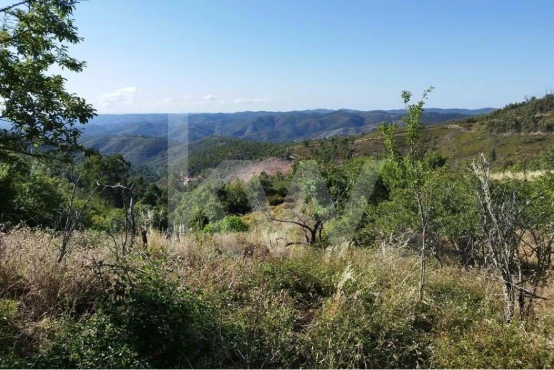 Quinta T2 para Venda em Monchique Foto 32