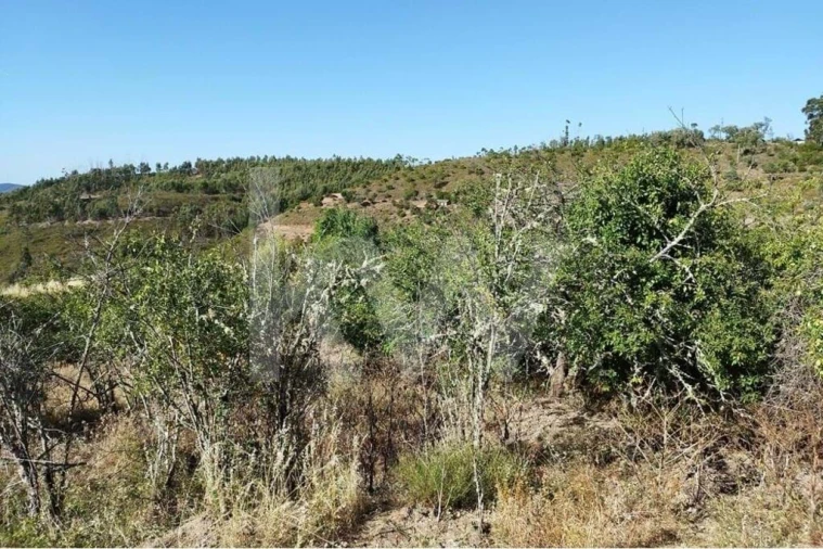 Quinta T2 para Venda em Monchique Foto 23