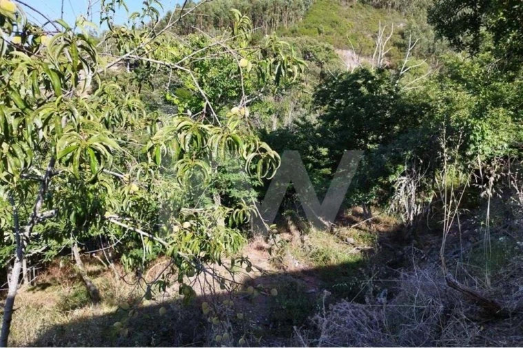 Quinta T2 para Venda em Monchique Foto 27