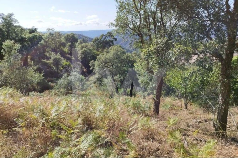 Quinta T2 para Venda em Monchique Foto 31