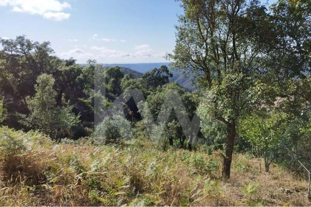 Quinta T2 para Venda em Monchique Foto 30