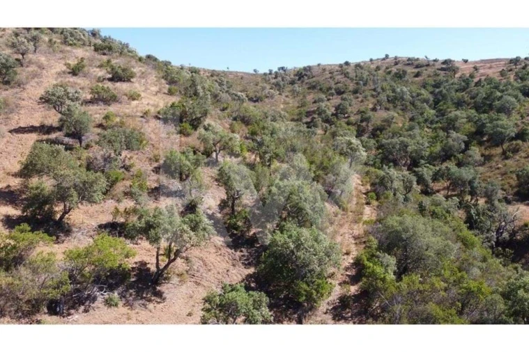 Quinta T2 para Venda em Marmelete Foto 2