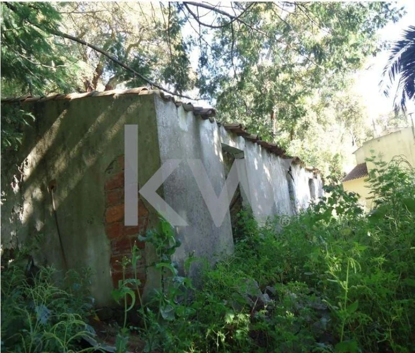 Terreno para Venda em Monchique Foto 4