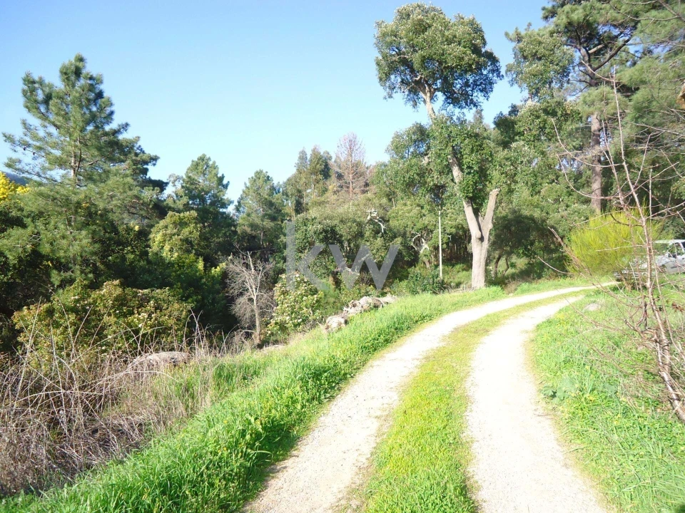 Terreno para Venda em Monchique Foto 1