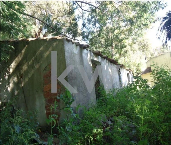 Terreno para Venda em Monchique Foto 4