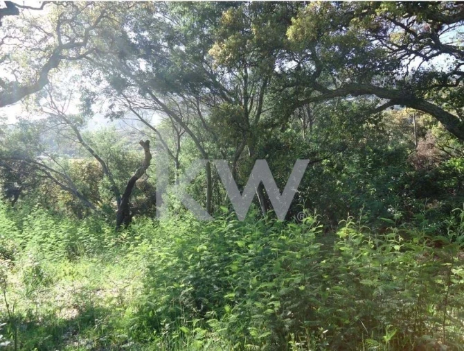 Terreno para Venda em Monchique Foto 5