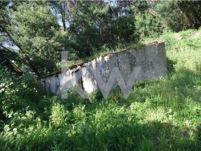 Terreno para Venda em Monchique Foto 6