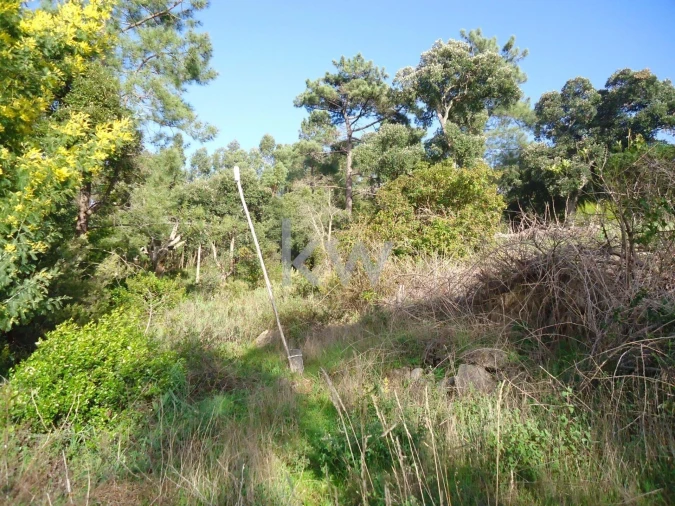 Terreno para Venda em Monchique Foto 3