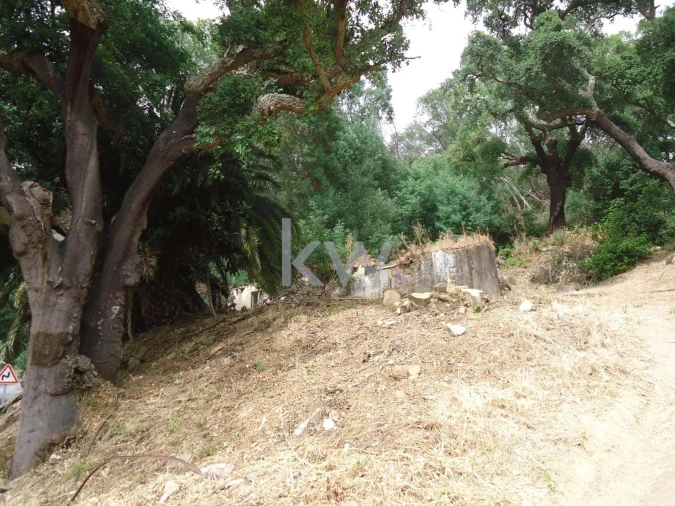 Terreno para Venda em Monchique Foto 15