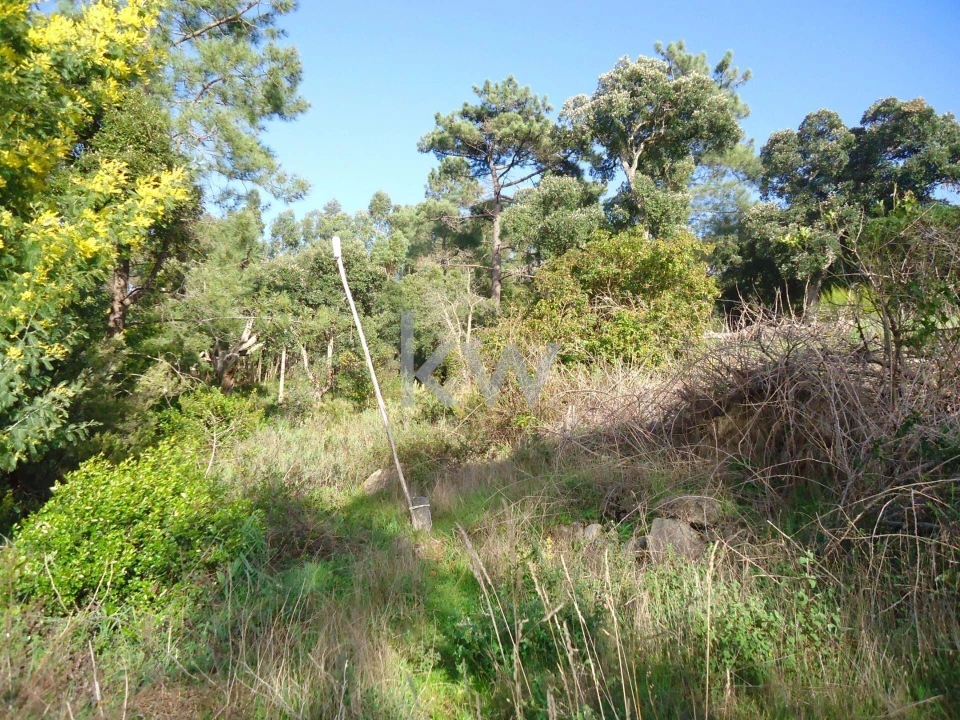 Terreno para Venda em Monchique Foto 3