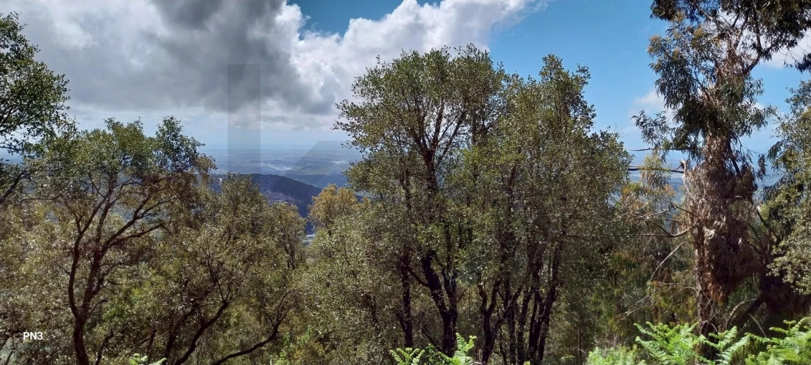 Terreno para Venda em Monchique Foto 10