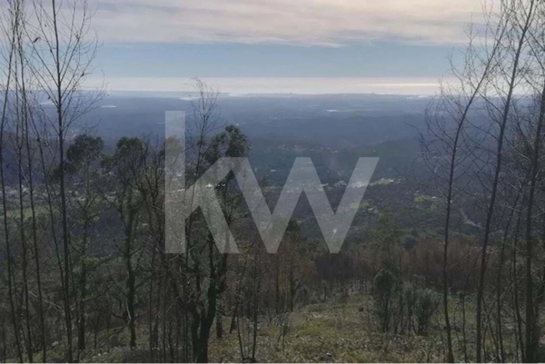 Terreno para Venda em Monchique Foto 16