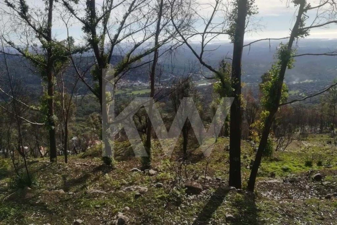 Terreno para Venda em Monchique Foto 14
