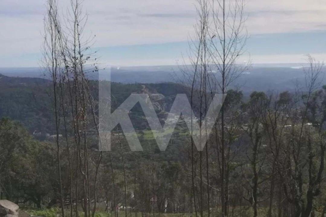 Terreno para Venda em Monchique Foto 15