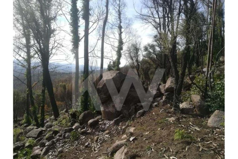 Terreno para Venda em Monchique Foto 20