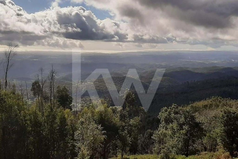 Terreno para Venda em Monchique Foto 28