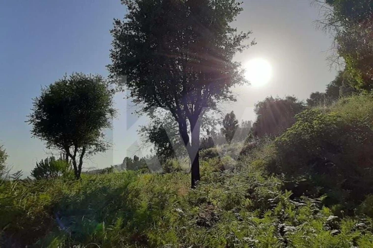 Terreno para Venda em Monchique Foto 26