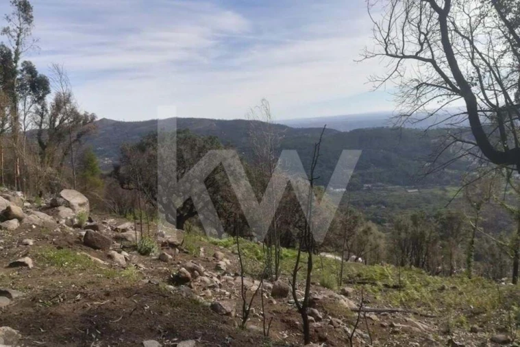 Terreno para Venda em Monchique Foto 13