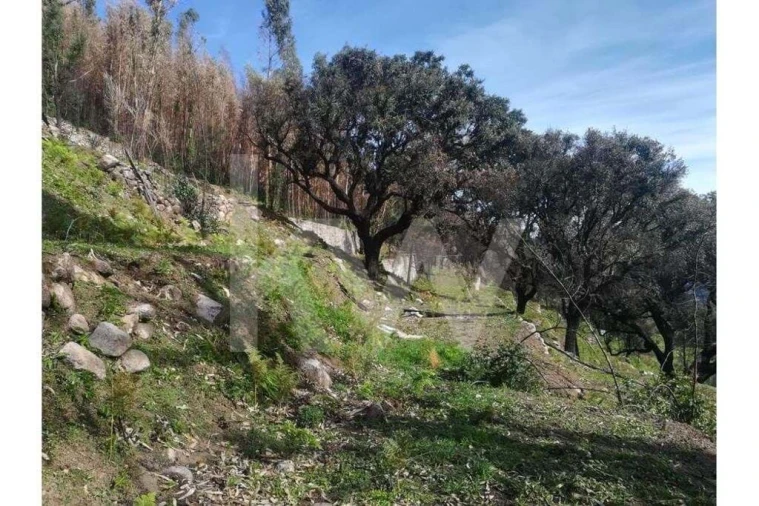 Terreno para Venda em Monchique Foto 27