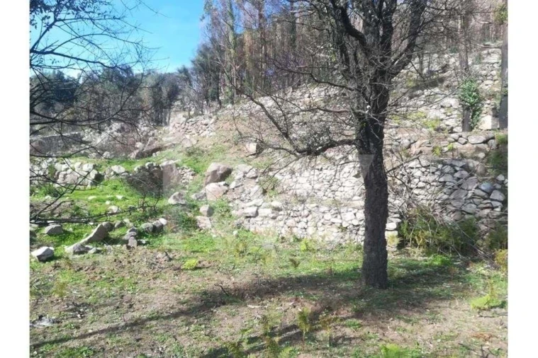 Terreno para Venda em Monchique Foto 23