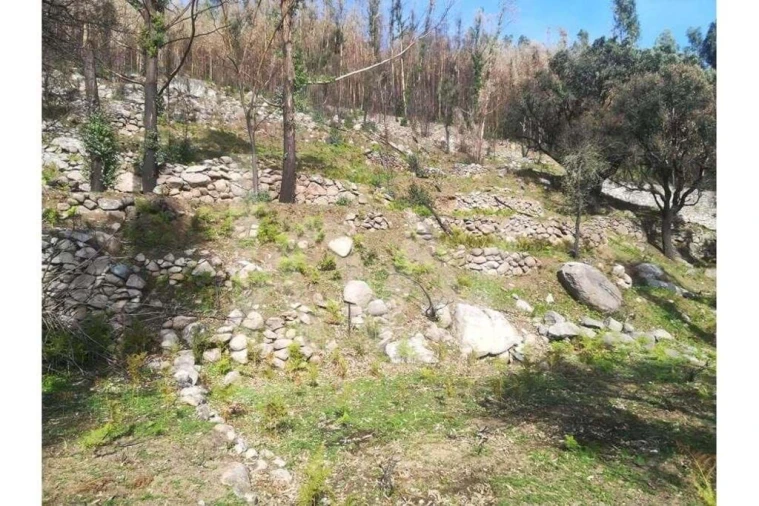 Terreno para Venda em Monchique Foto 24