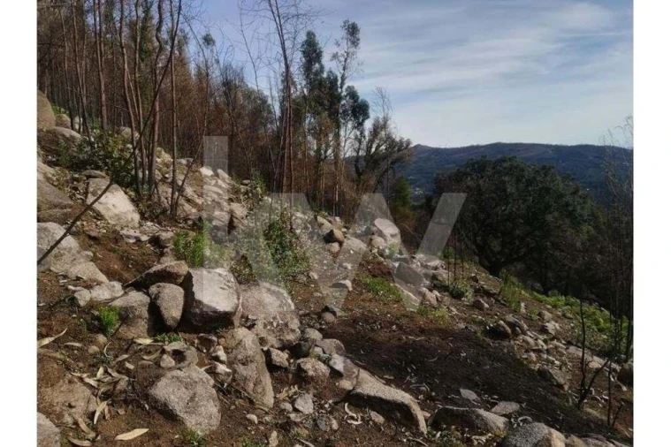 Terreno para Venda em Monchique Foto 21