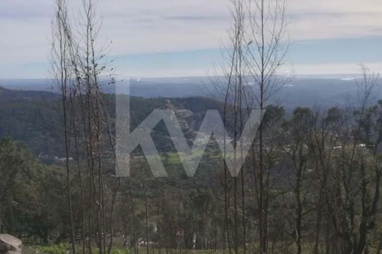 Terreno para Venda em Monchique Foto 15