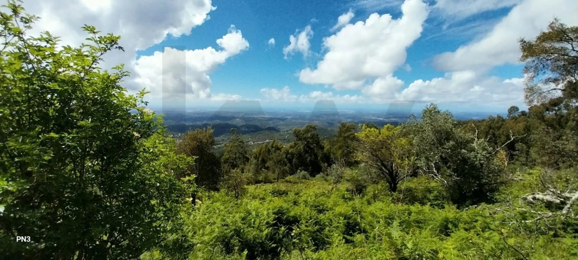 Terreno para Venda em Monchique Foto 3