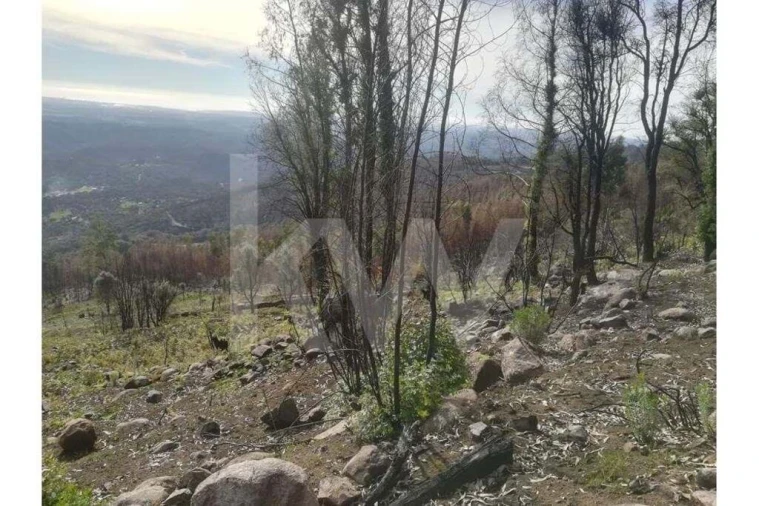 Terreno para Venda em Monchique Foto 19