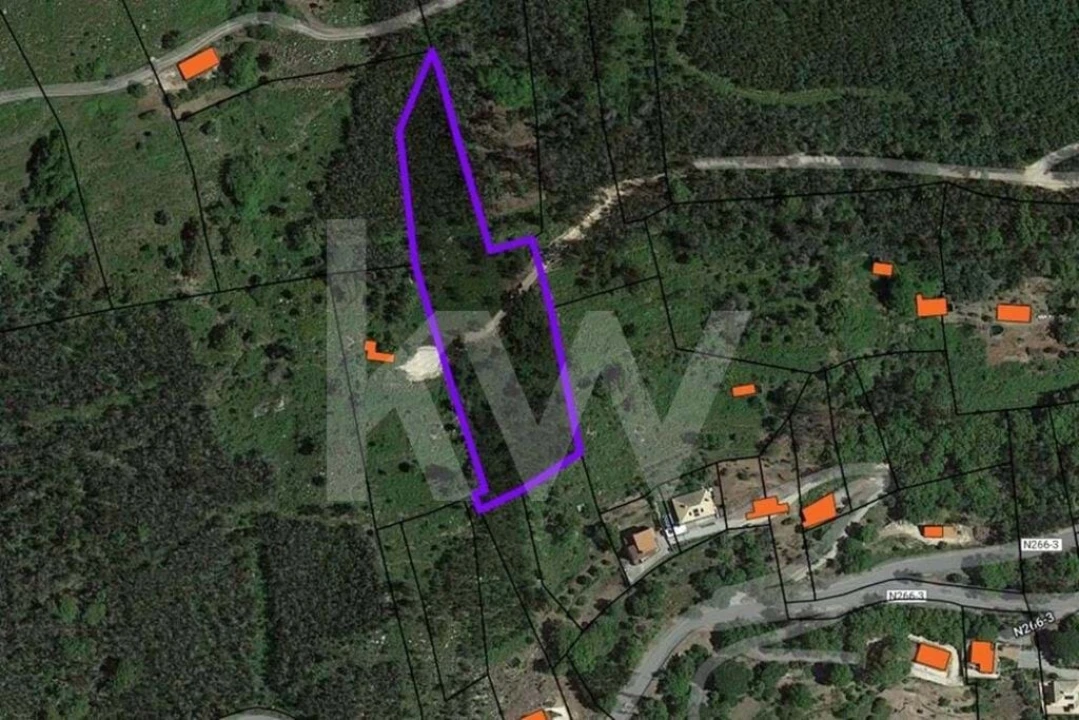 Terreno para Venda em Monchique Foto 11