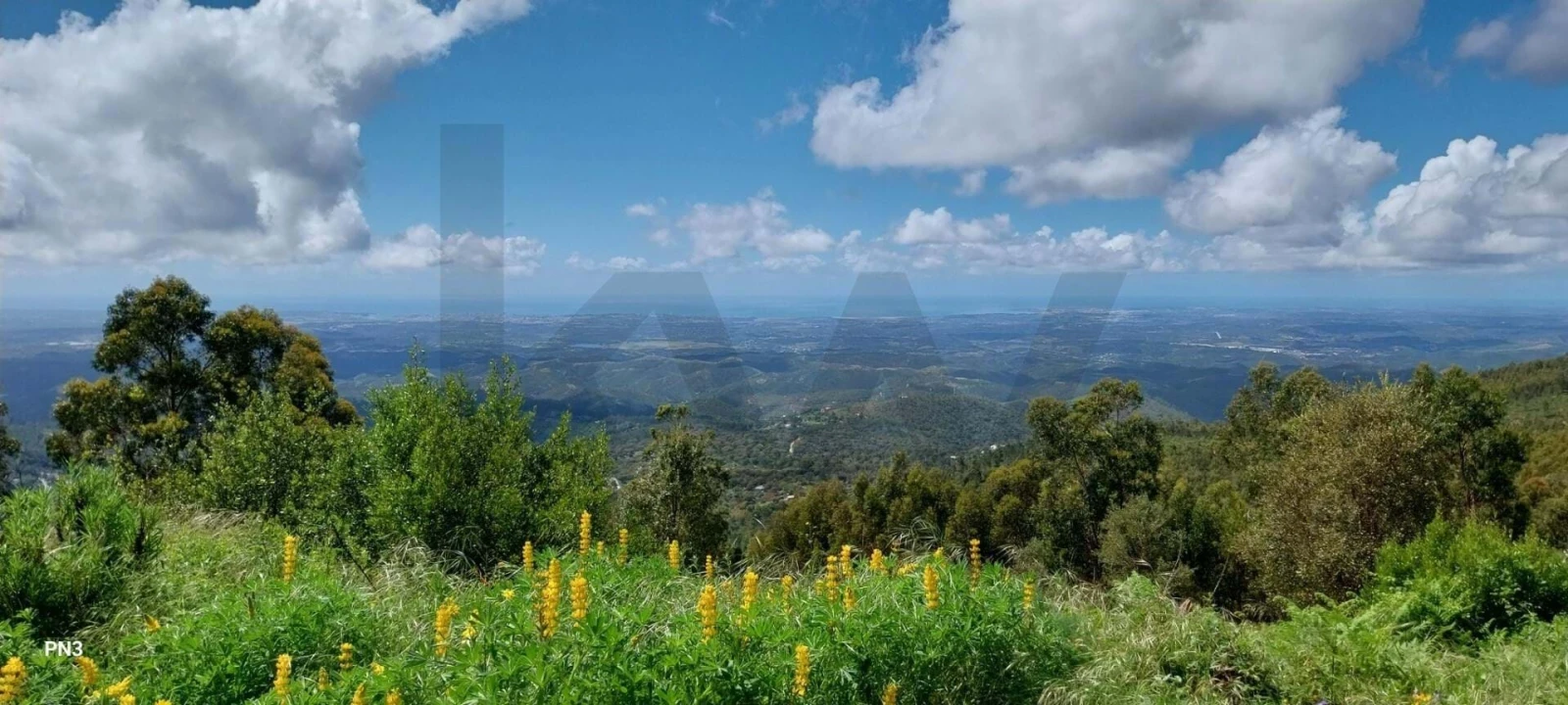 Terreno para Venda em Monchique Foto 1
