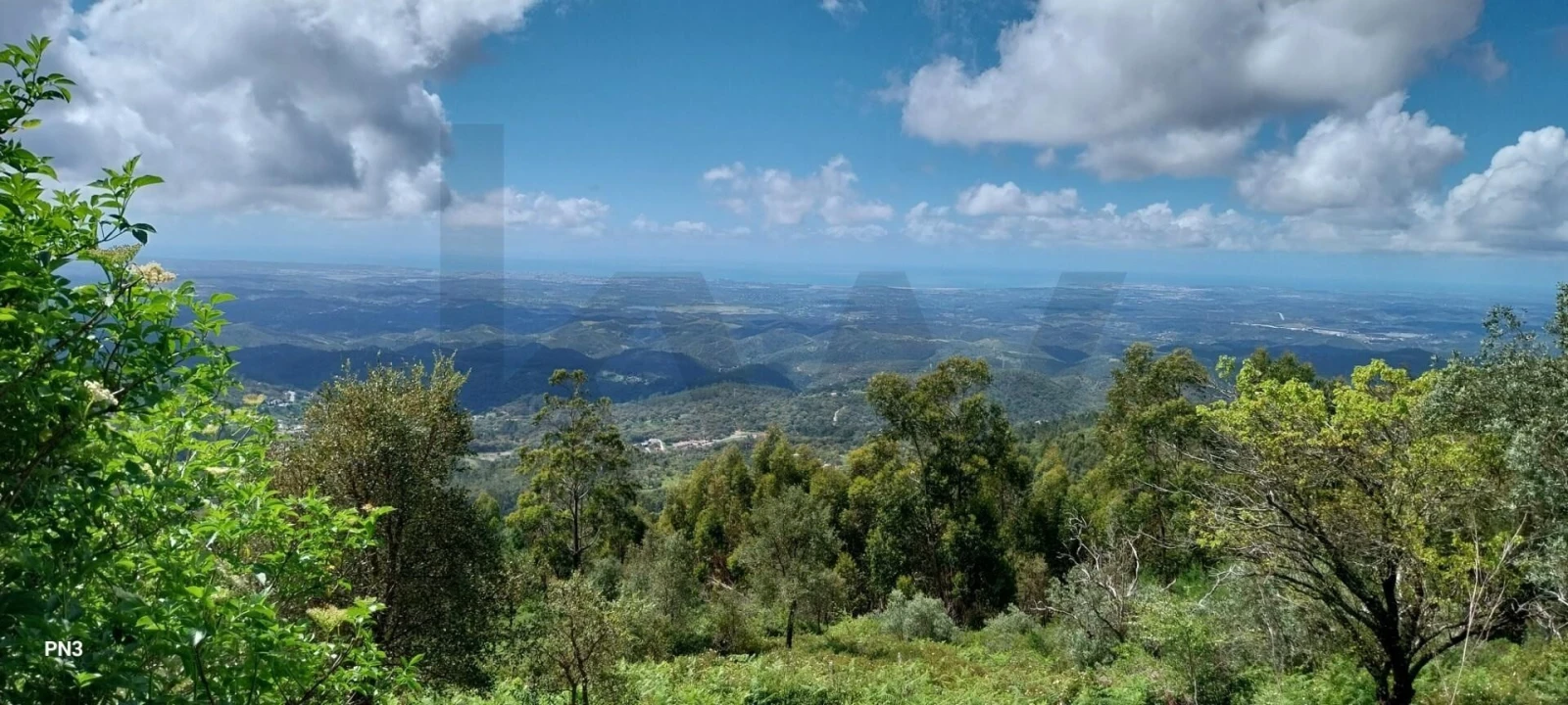 Terreno para Venda em Monchique Foto 4