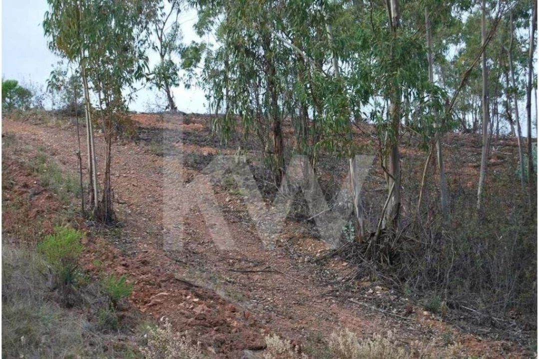 Apartamento para Venda em Mexilhoeira Grande Foto 40