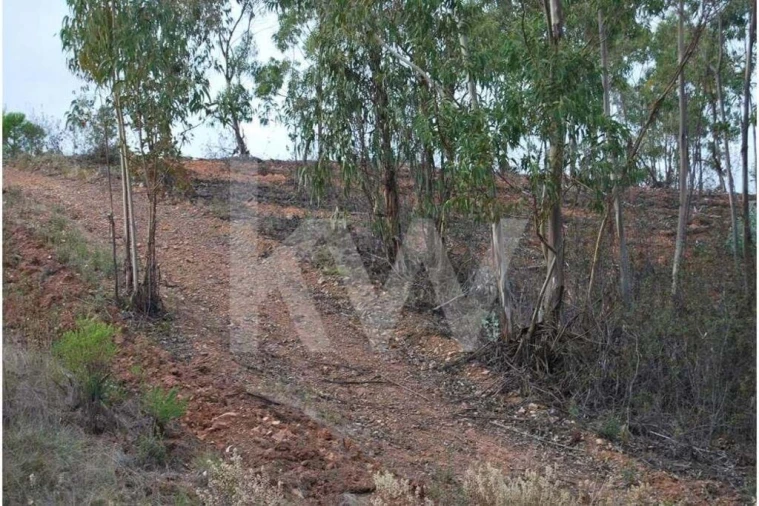 Apartamento para Venda em Mexilhoeira Grande Foto 40