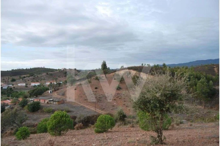 Apartamento para Venda em Mexilhoeira Grande Foto 22