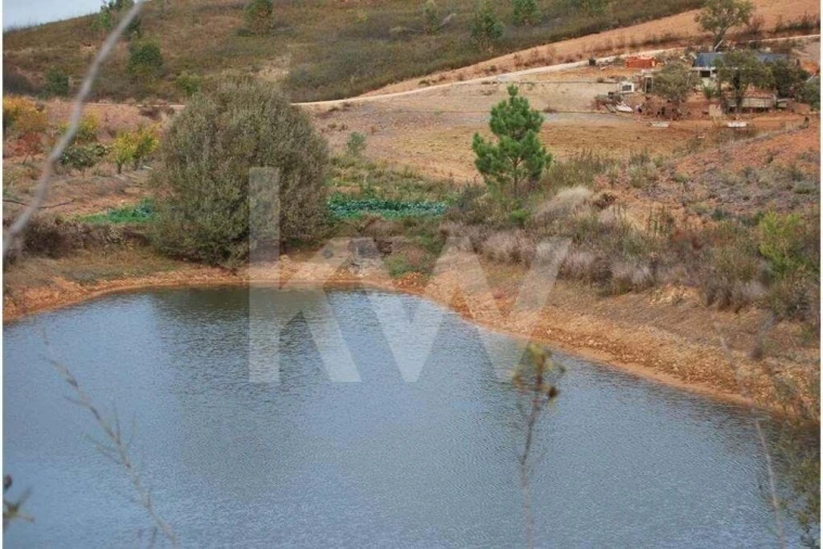 Apartamento para Venda em Mexilhoeira Grande Foto 4