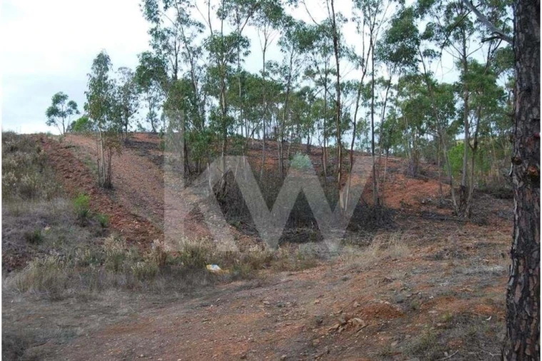 Apartamento para Venda em Mexilhoeira Grande Foto 44